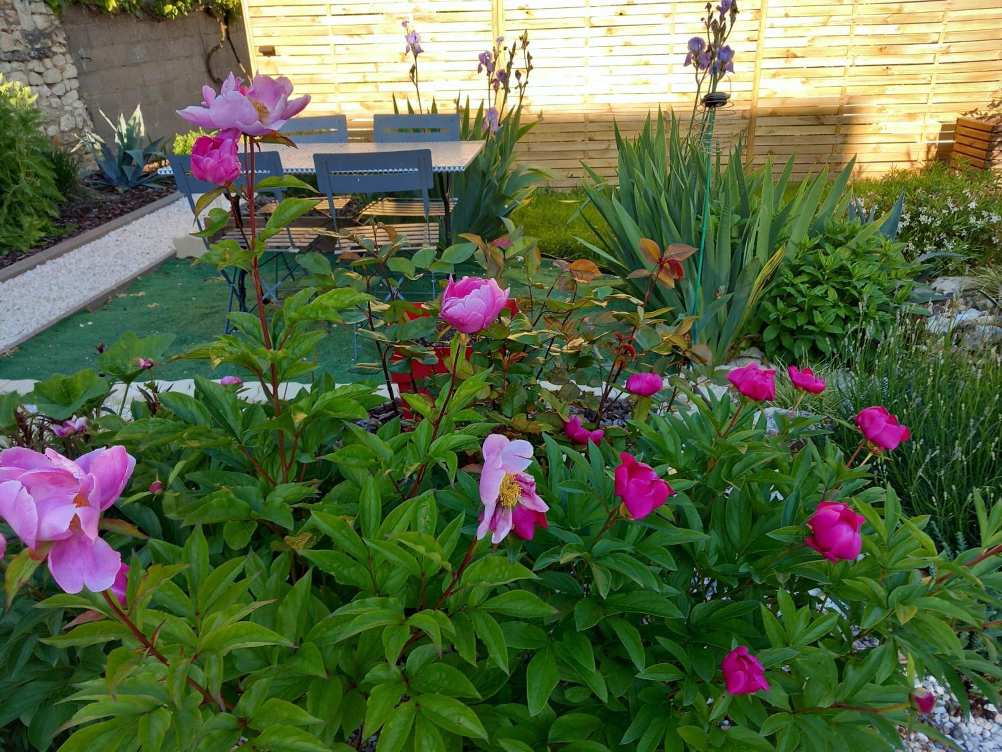Bed and Breakfast Chez Bea Шательро Екстер'єр фото